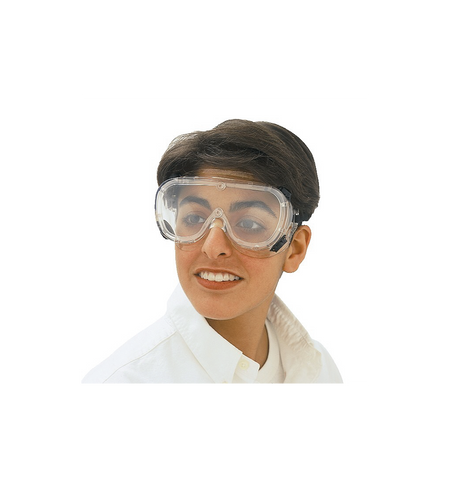 PCL0978, CLEAR GOGGLES, ANTI-FOG LENS, CLEAR , 1/CS